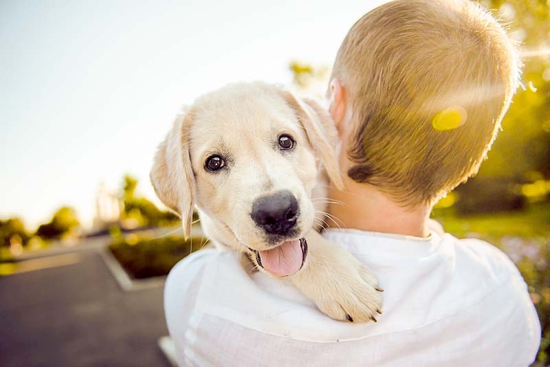 man holds happy puppy